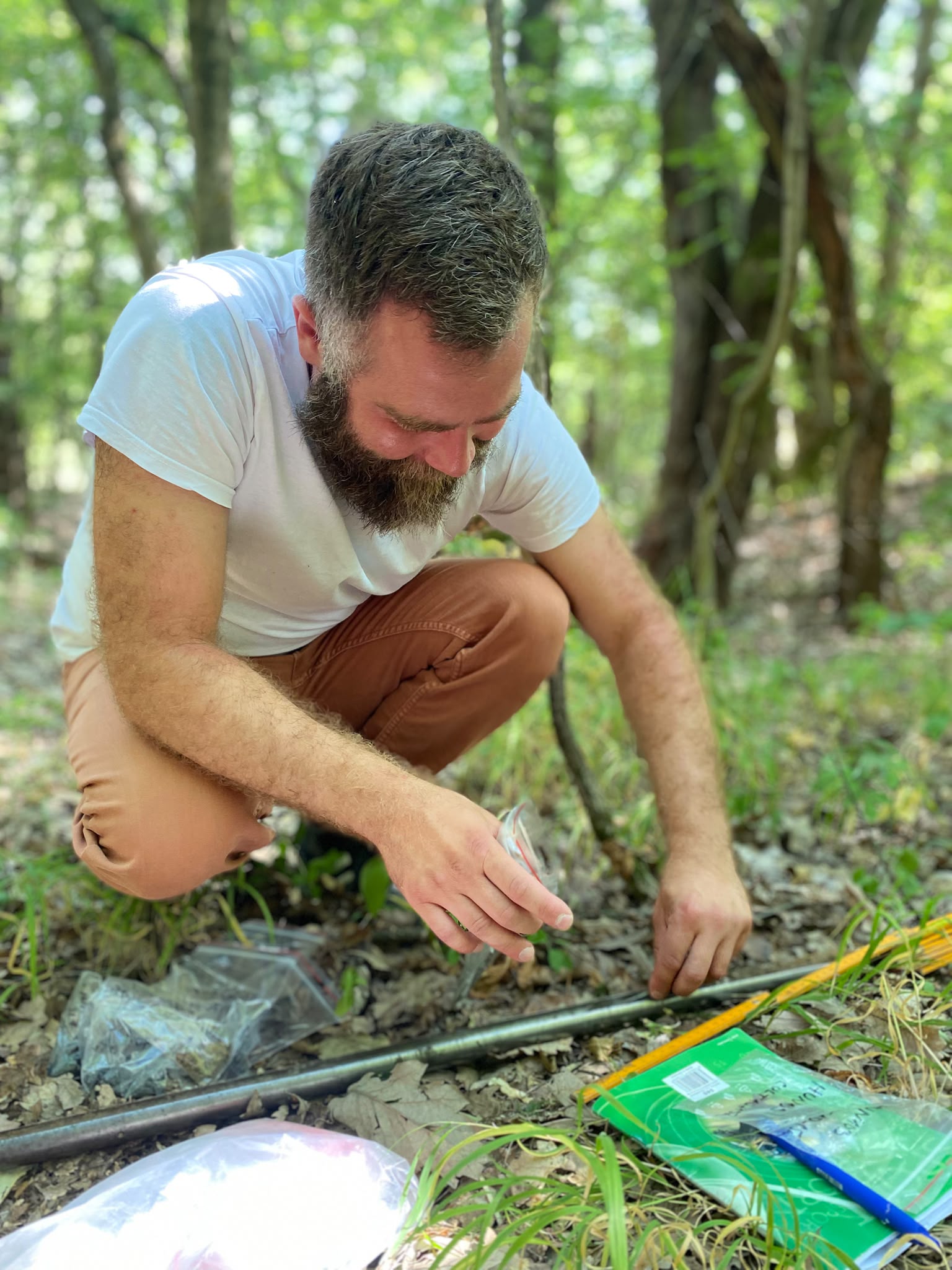 Geochemie středověkého zpracování železa u Budapešti