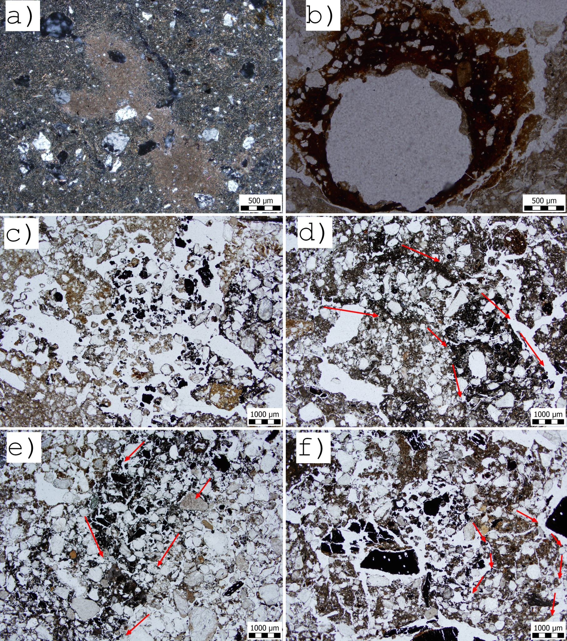 Bioturbace, karbonátové a Fe/Mn znaky v sedimentárním záznamu.